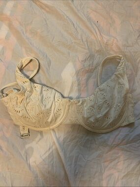 wild fable Cream Eyelet Underwire Bra